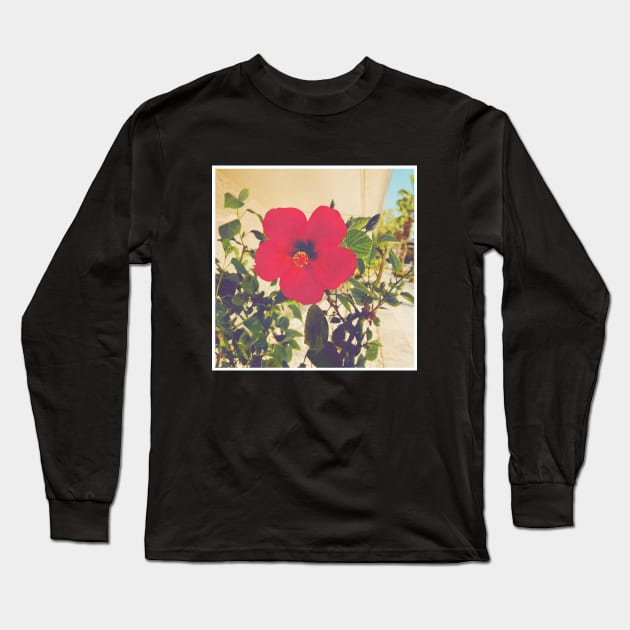 Pretty Red Flower with green leaves nature lovers beautiful photography design Long Sleeve T-Shirt by BoogieCreates